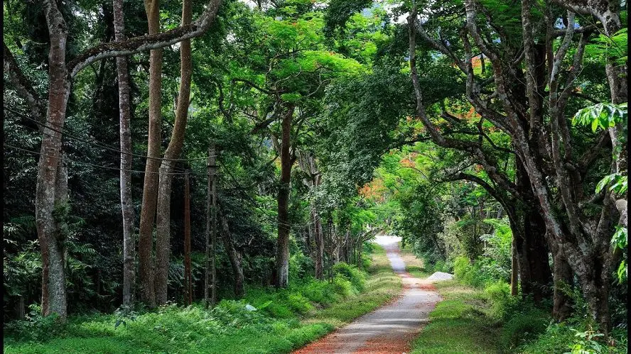 What cultural significance does Cuc Phuong National Park hold?