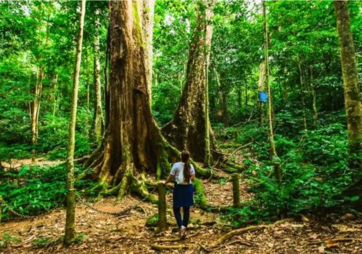 What are the safety tips for visiting Cuc Phuong National Park? park