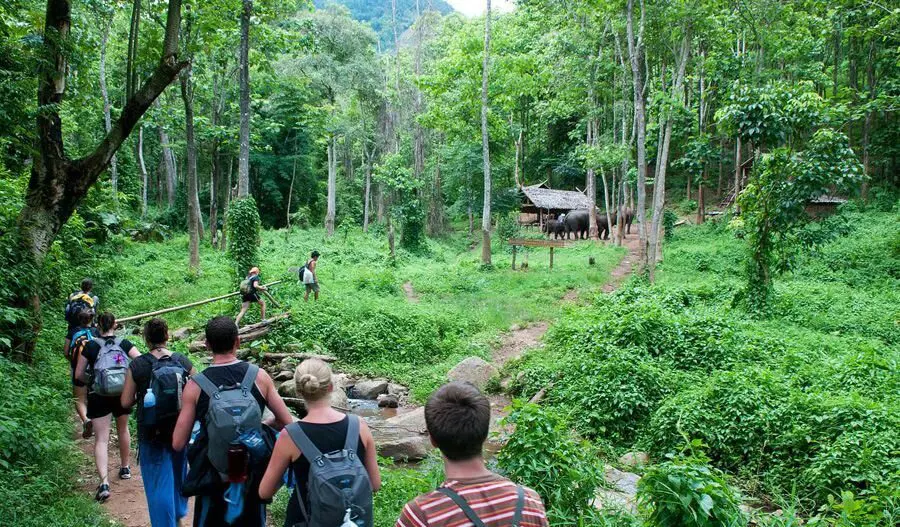 How to get Cuc Phuong National Park? park