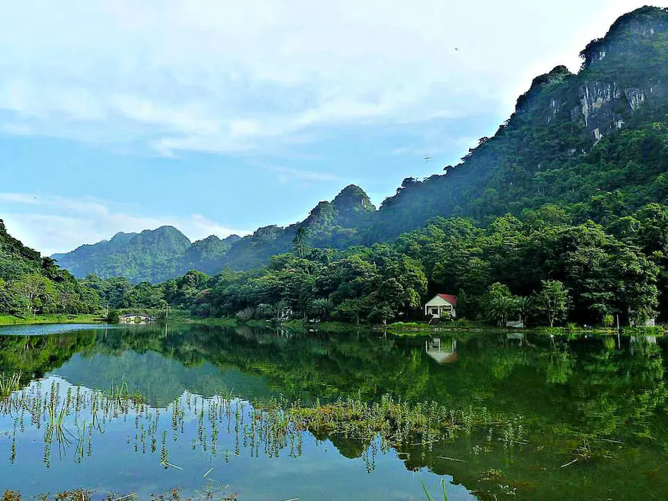 How does Cuc Phuong National Park compare to other parks in Vietnam?
