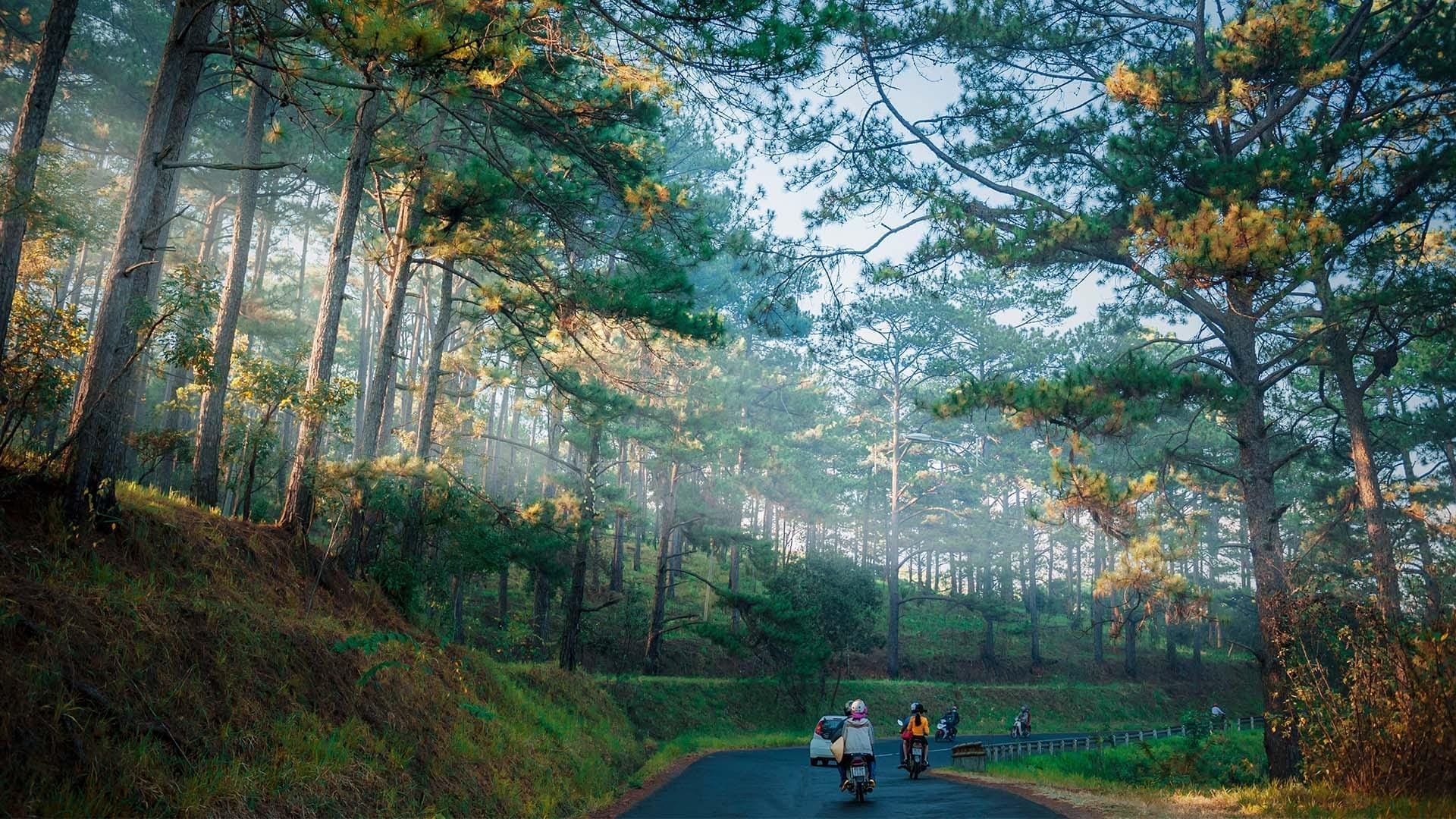 Southern Vietnam Highlights Tour – 8 Days 7 Nights