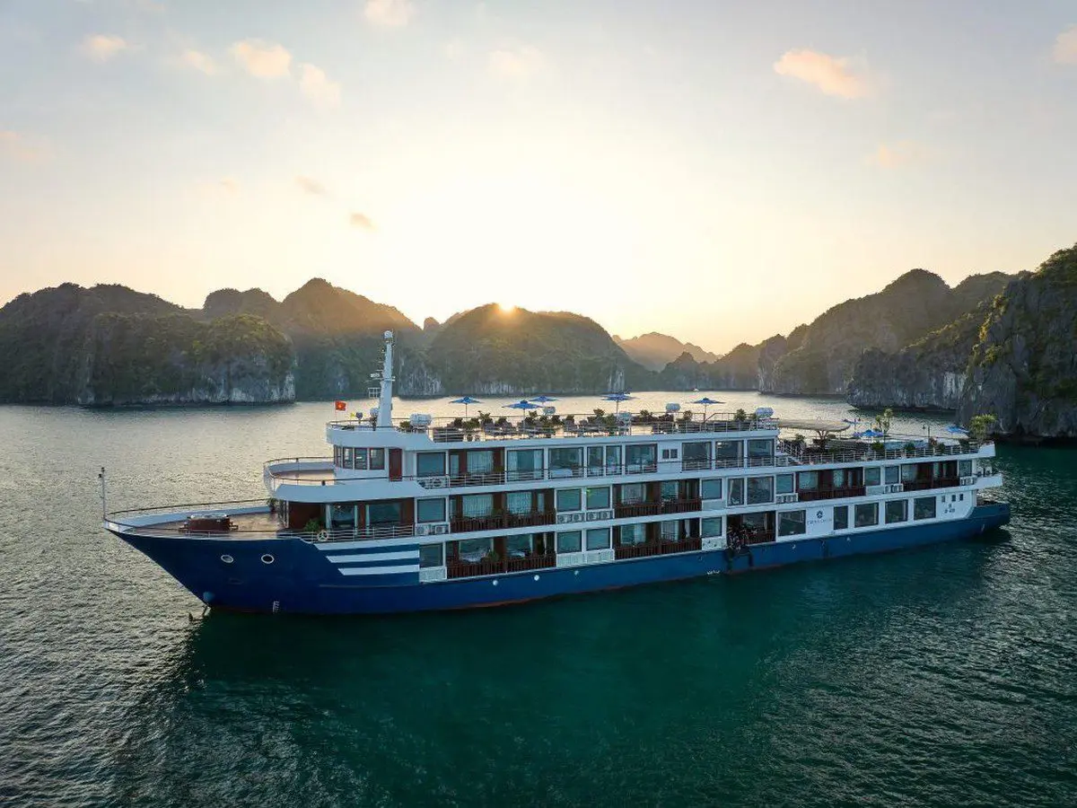Erina Cruise