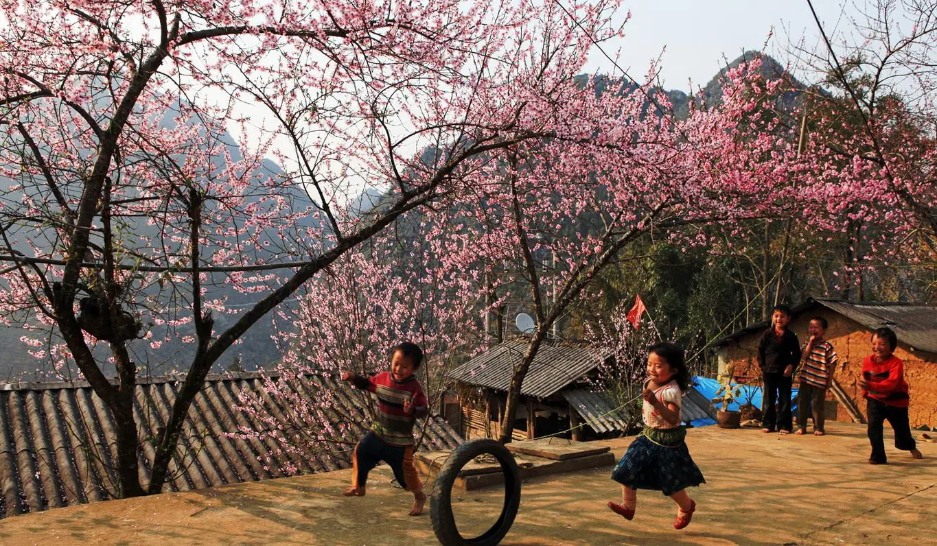 Explore The North of Vietnam 12 days 11 nights