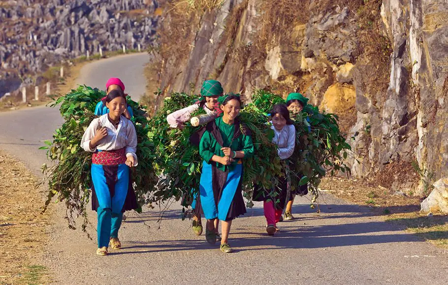 Characteristics of ethnic groups in ha giang loop culture