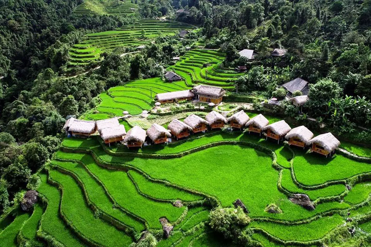 https://lycheetrippers.com/wp-content/uploads/2025/12/ha20giang20loop20homestayshomestay20experience20ha20giangauthentic20ha20giang20homestayslocal20culture20homestays20ha20gianghomestay20booking20ha20giang20loophomestay20recommendations20ha20giang.html