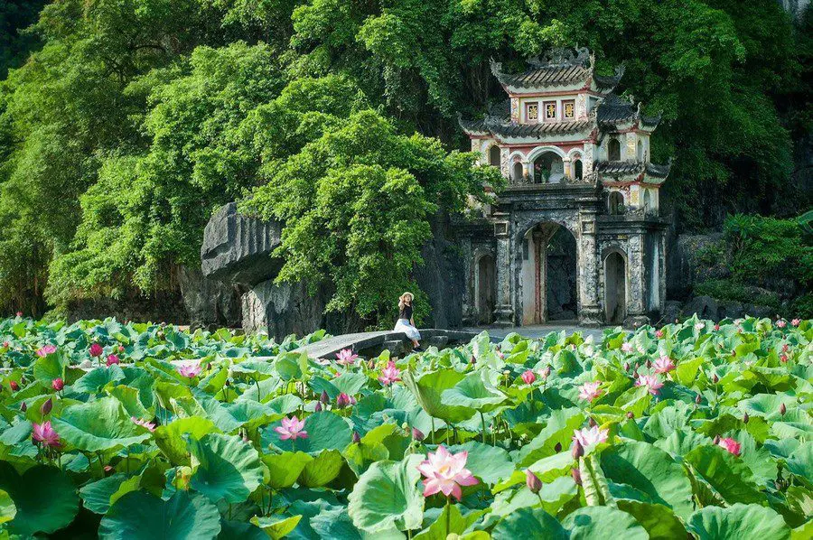 Seasonal considerations: weather and crowds Ninh Binh from Hanoi